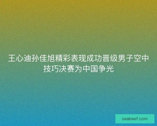 王心迪孙佳旭精彩表现成功晋级男子空中技巧决赛为中国争光