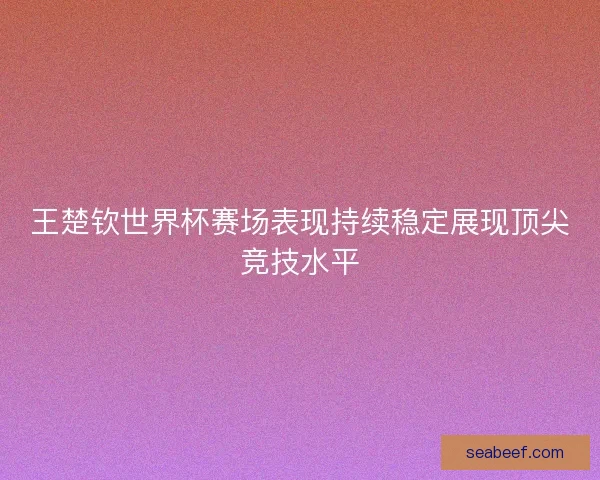 王楚钦世界杯赛场表现持续稳定展现顶尖竞技水平