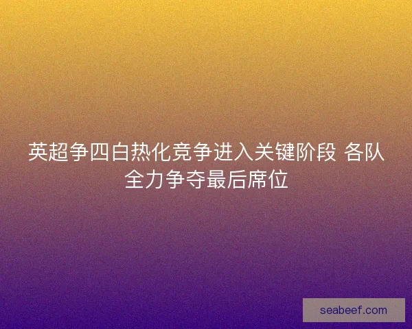 英超争四白热化竞争进入关键阶段 各队全力争夺最后席位