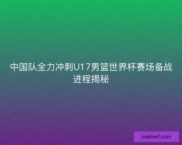 中国队全力冲刺U17男篮世界杯赛场备战进程揭秘